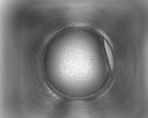 X0000068760577200605121638