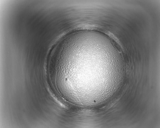 X0000068760581200605121638