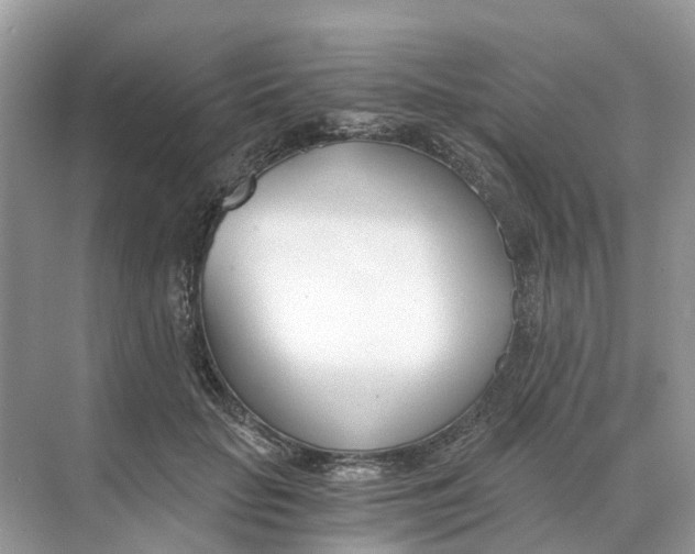 X0000068760653200605121637