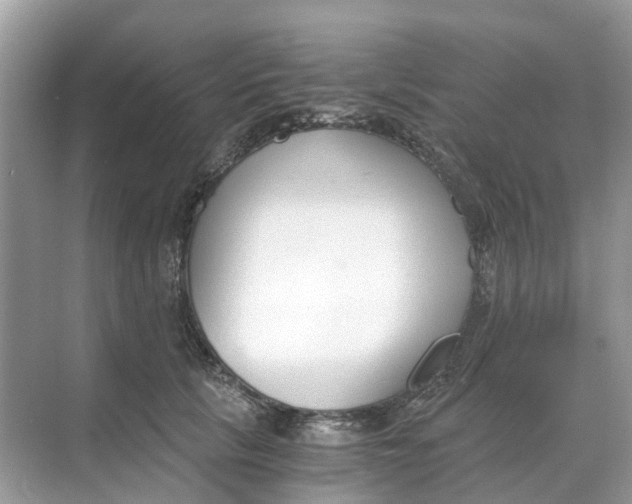 X0000068760657200605121637