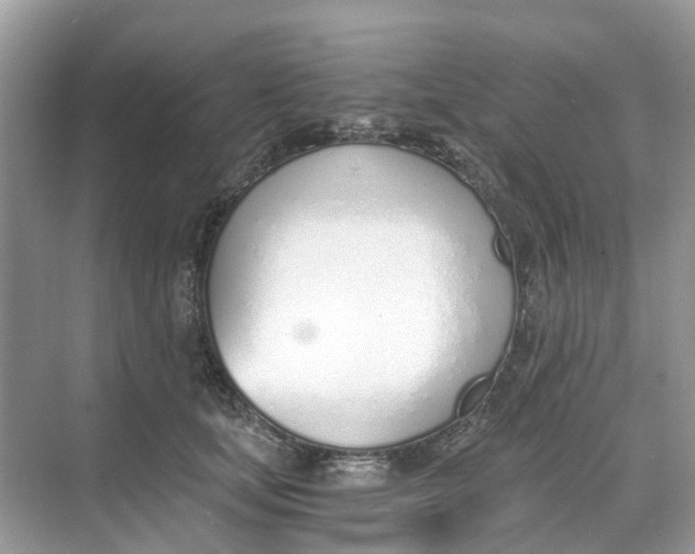 X0000068760659200605121637