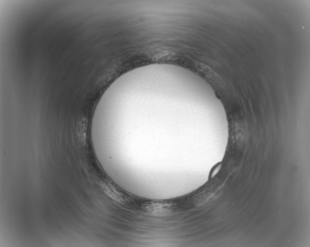 X0000068760664200605121637