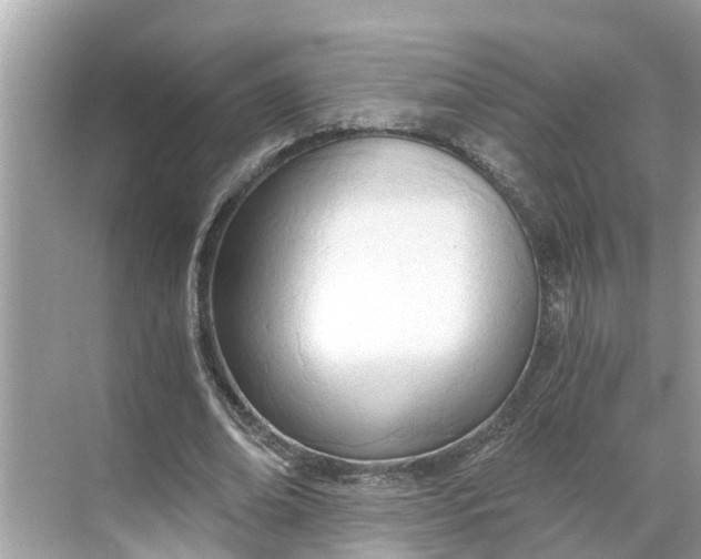 X0000068760678200605121636
