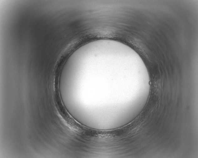 X0000068760686200605121636