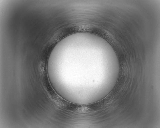 X0000068760695200605121636