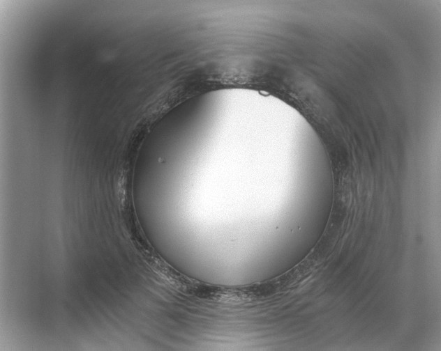 X0000068760697200605121636