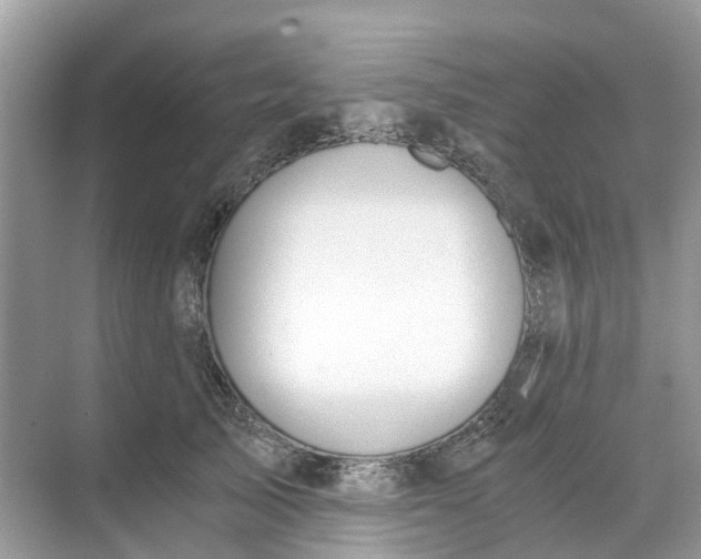 X0000068760705200605121636