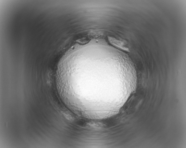 X0000068760712200605121636