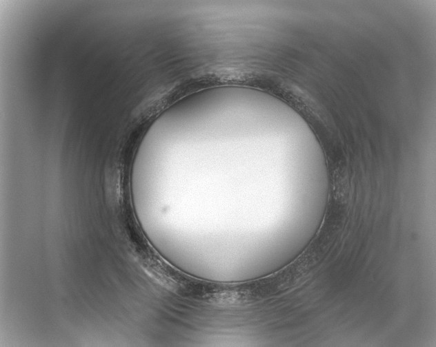 X0000068760740200605121635