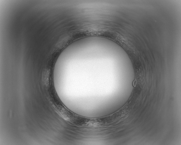 X0000068760742200605121635