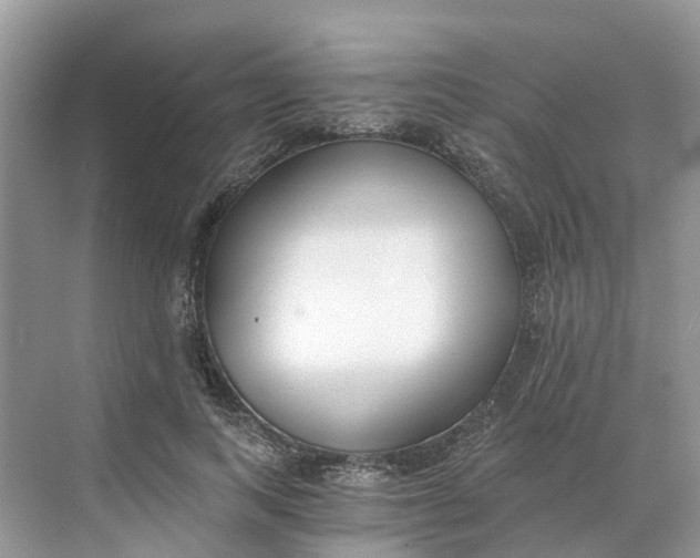 X0000068760743200605121635
