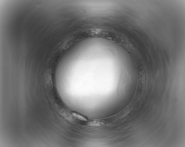 X0000068760754200605121635