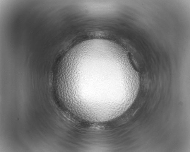 X0000068760760200605121635