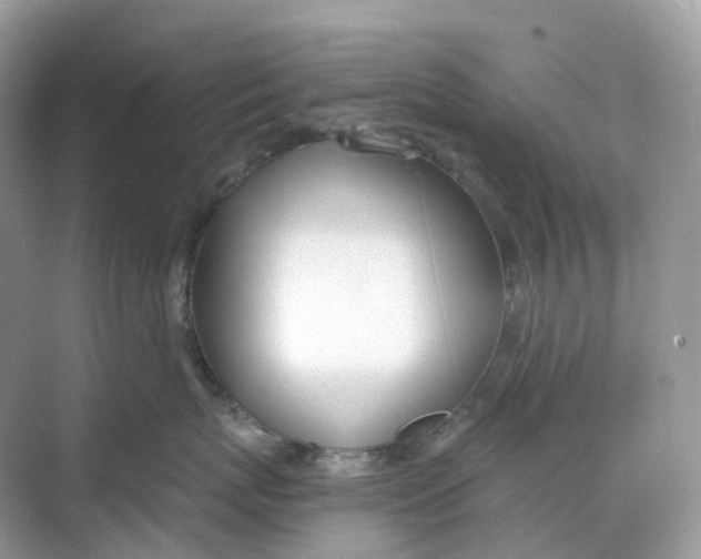 X0000068760767200605121636