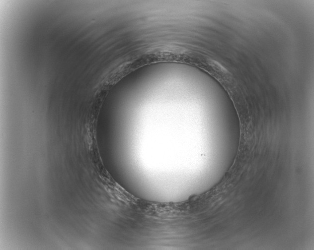 X0000068760774200605121635