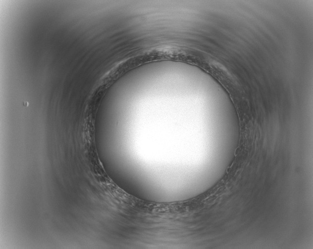 X0000068760776200605121635