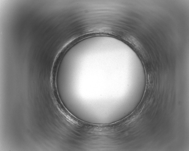 X0000068760780200605121635