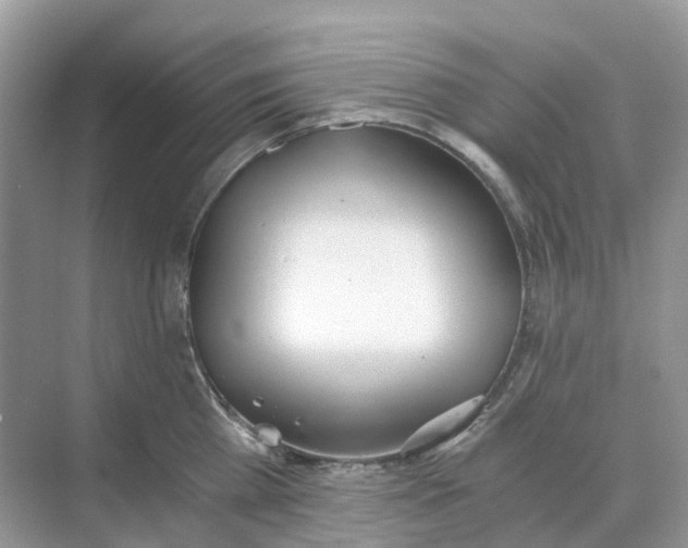 X0000068760809200605121634