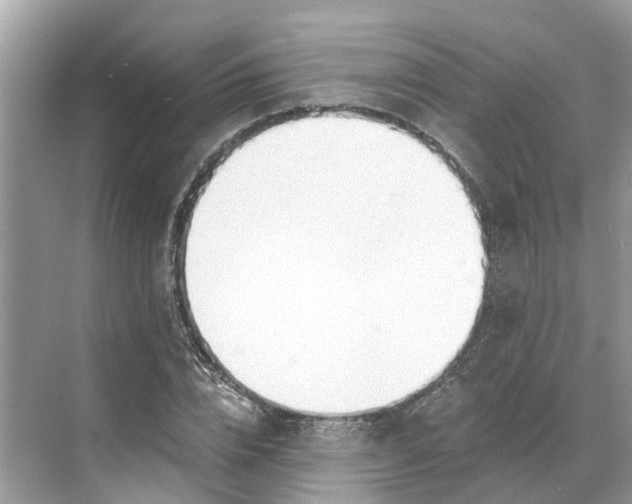 X0000068760832200605121633