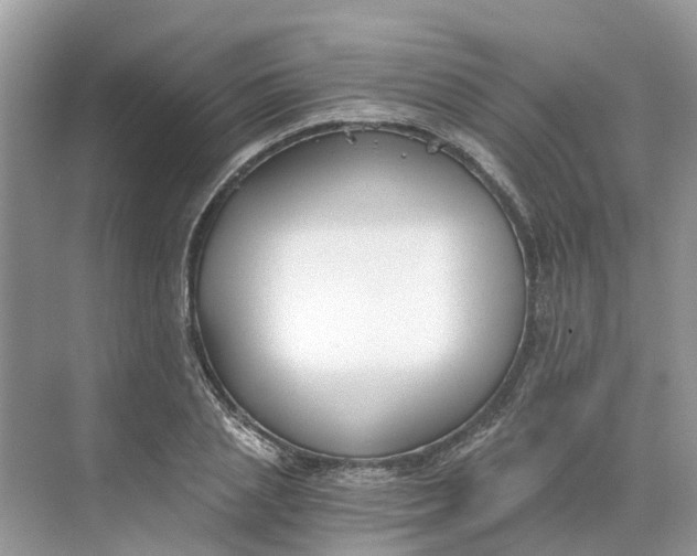 X0000068760837200605121633