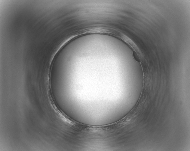 X0000068760852200605121634
