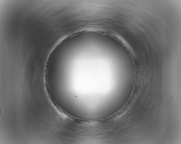 X0000068760853200605121634