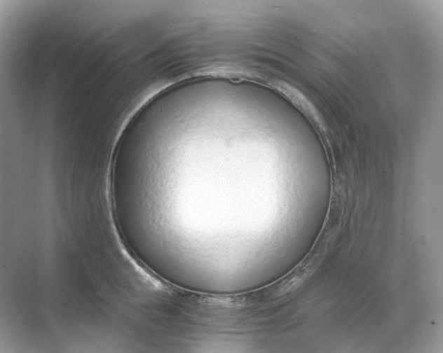 X0000068760855200605121634