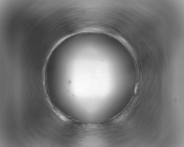 X0000068760862200605121634