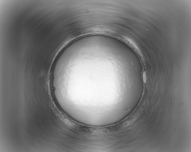 X0000068760899200605121633