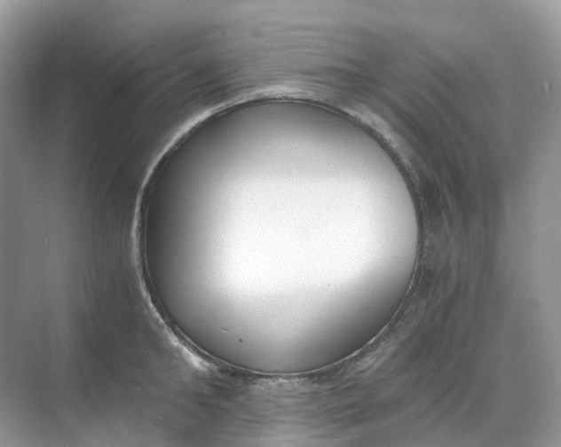 X0000068760902200605121632