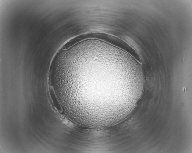 X0000068760948200605121632