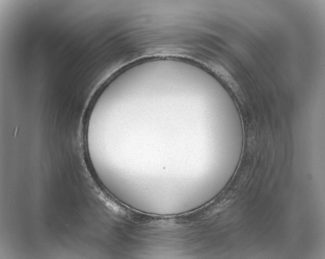 X0000068760990200605121631