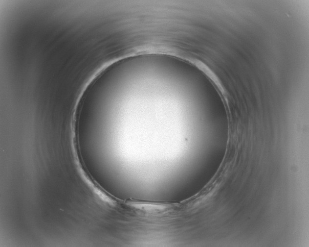 X0000068761005200605121631
