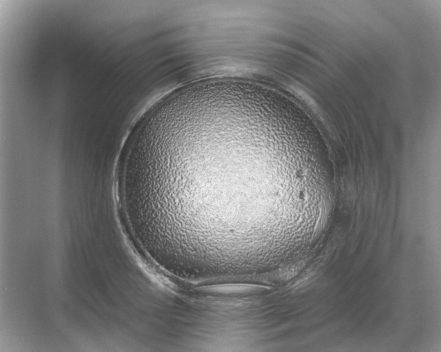 X0000068761034200605121630