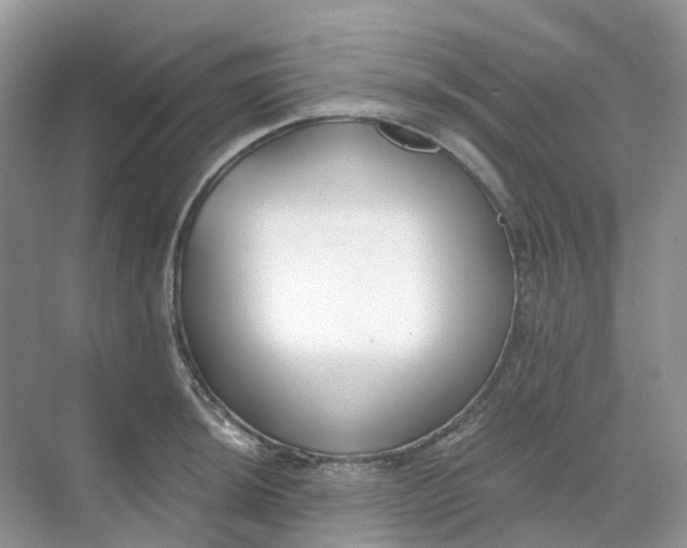 X0000068761044200605121630
