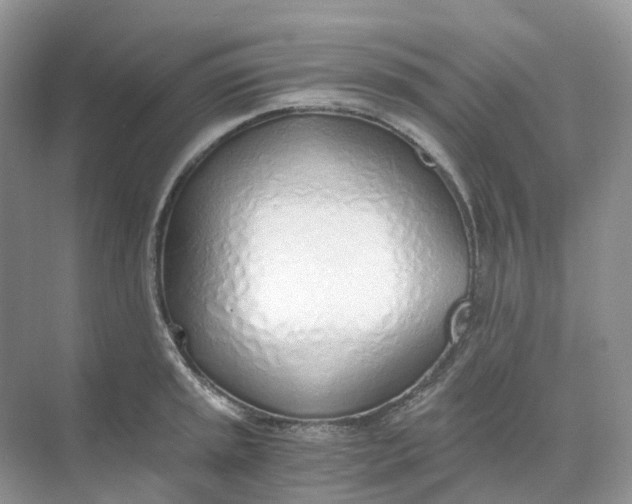 X0000068761045200605121630