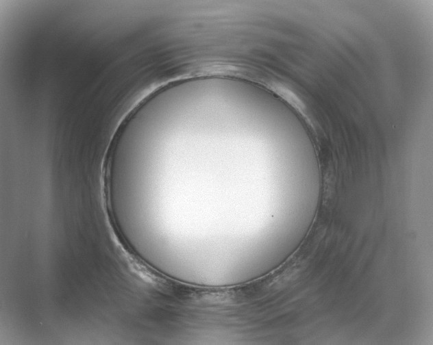X0000068761047200605121631