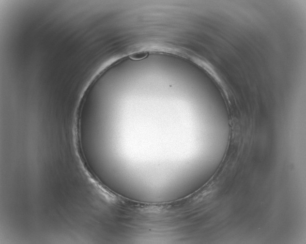 X0000068761048200605121631