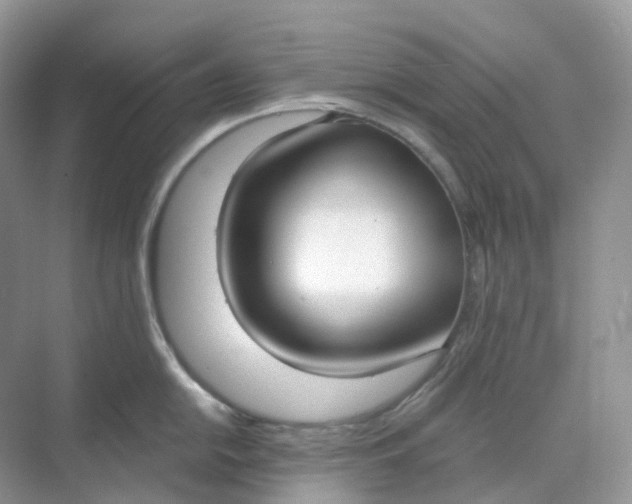 X0000068761054200605121631