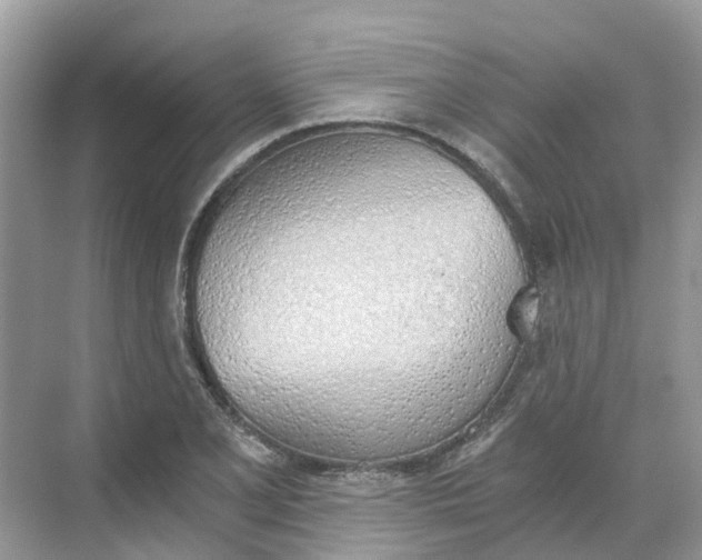 X0000068761077200605121630