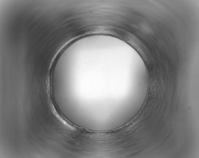 X0000068761092200605121629