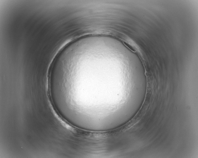 X0000068761095200605121629