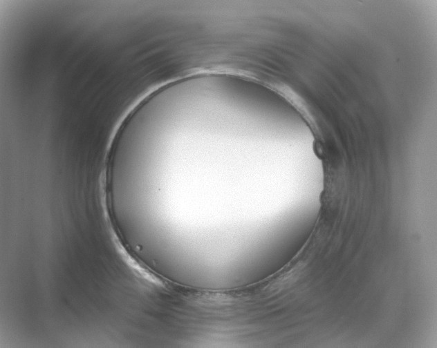 X0000068761100200605121629