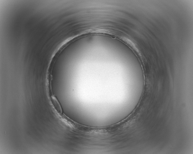 X0000068761133200605121629