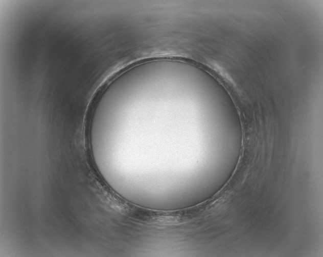 X0000068761173200605121628