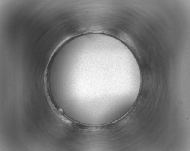 X0000068761190200605121628