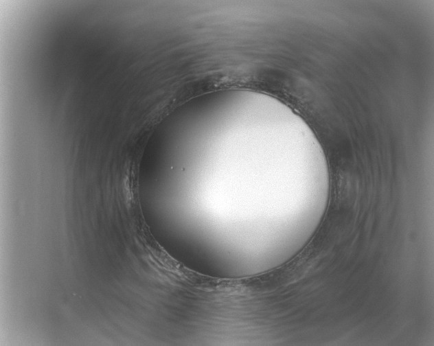 X0000068761250200605121627