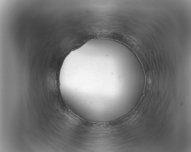X0000068761252200605121627