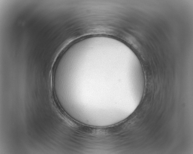 X0000068761275200605121626