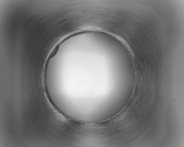 X0000068761295200605121626